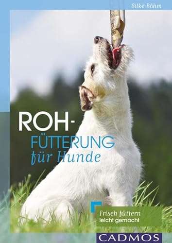 Rohfütterung für Hunde: Frisch füttern leicht gemacht