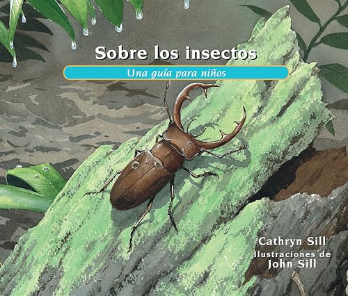 Sobre los insectos: Una guía para niños (About. . .)