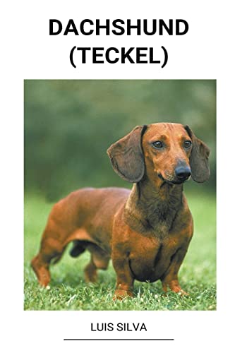 Dachshund (Teckel)