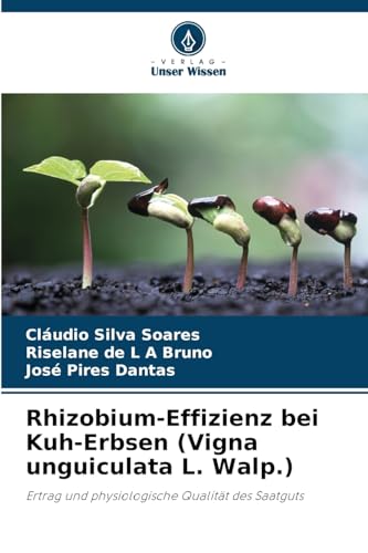 Rhizobium-Effizienz bei Kuh-Erbsen (Vigna unguiculata L. Walp.): Ertrag und physiologische Qualität des Saatguts von Verlag Unser Wissen
