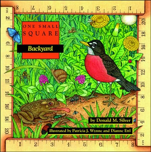 Backyard (One Small Square Series)