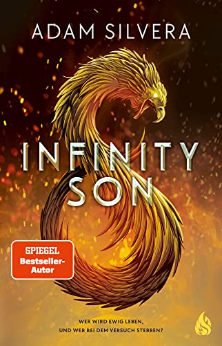 Infinity Son (Bd. 1) (Infinity-Trilogie)