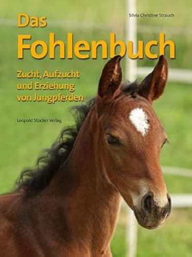 Das Fohlenbuch: Zucht, Aufzucht und Erziehung von Jungpferden von Stocker Leopold Verlag