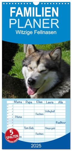 Familienplaner 2025 - Witzige Fellnasen mit 5 Spalten (Wandkalender, 21 cm x 45 cm), CALVENDO