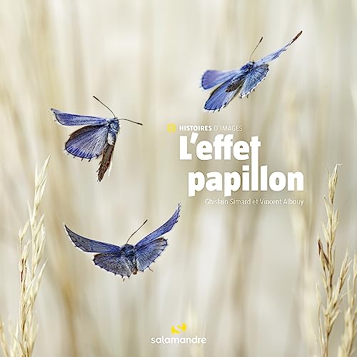 L'effet papillon von LA SALAMANDRE