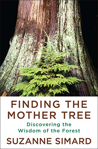 Finding the Mother Tree: Discovering the Wisdom of the Forest von Knopf