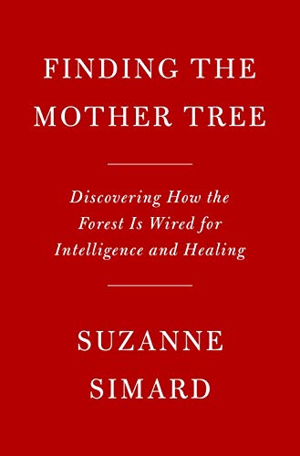 Finding the Mother Tree: Discovering the Wisdom of the Forest