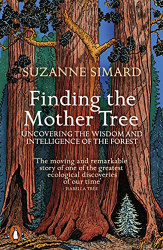Finding the Mother Tree: Uncovering the Wisdom and Intelligence of the Forest von Penguin