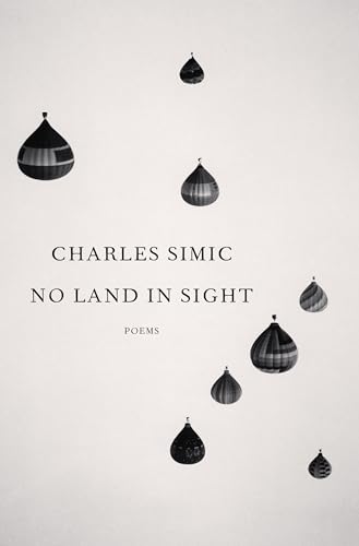 No Land in Sight: Poems