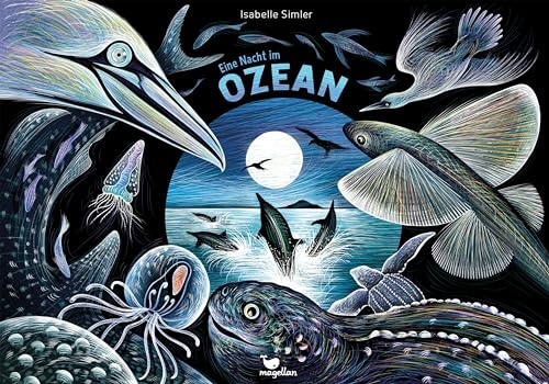 Eine Nacht im Ozean: Ein Sachbilderbuch für Kinder ab 6 Jahren und Erwachsene (Ava) Eine Nacht im Ozean: Ein Sachbilderbuch für Kinder ab 6 Jahren und Erwachsene (Ava) von Magellan