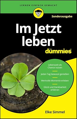 Im Jetzt leben für Dummies - SONDERAUSGABE von Wiley-VCH