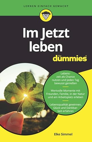Im Jetzt leben für Dummies von Wiley