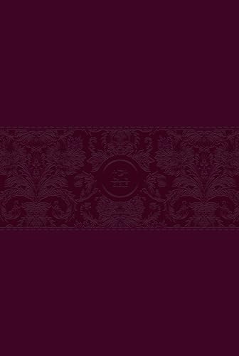 The Passion Translation New Testament (2020 Edition) Large Print Burgundy: With Psalms, Proverbs and Song of Songs von Broadstreet Publishing