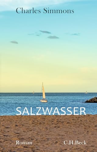 Salzwasser: Roman