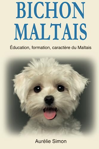 Bichon Maltais: Education, Formation, Caractère du Maltais