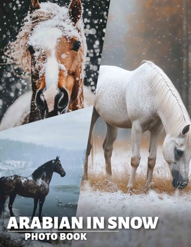Arabian In Snow Photo Book: 40 Stunning Images Capturing Arabian Horses Amid Winter Wonderland Scenes von Independently published