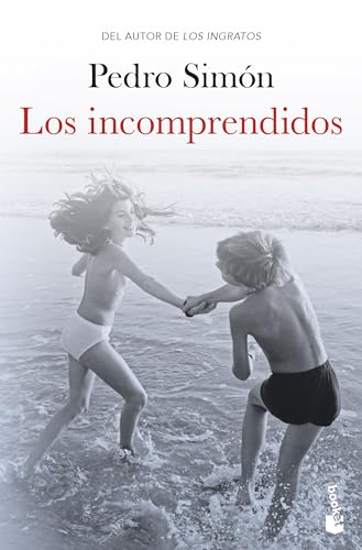 Los incomprendidos (Novela)