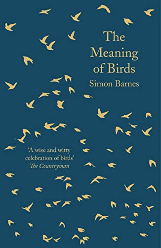 The Meaning of Birds