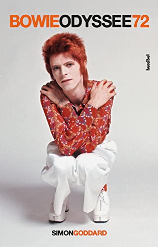 Bowie Odyssee 72 von Hannibal Verlag