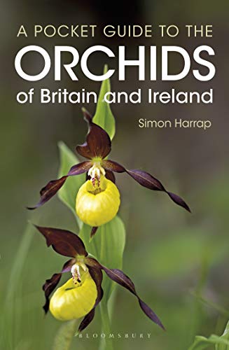 Pocket Guide to the Orchids of Britain and Ireland von Bloomsbury Publishing PLC