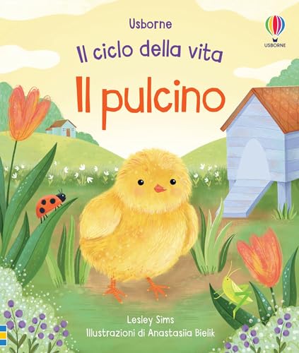 Il pulcino. Ediz. a colori (Il ciclo della vita) von Usborne