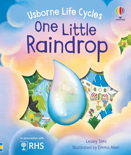 One Little Raindrop (Life Cycles) von Usborne Publishing Ltd