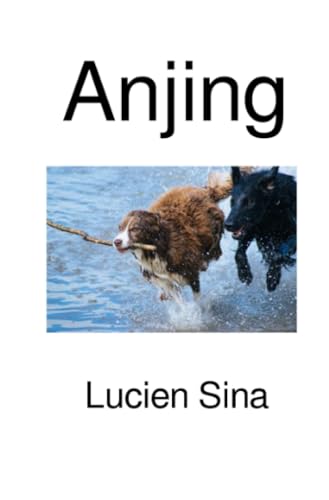 Anjing: DE von epubli