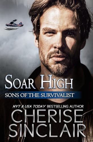 Soar High von VanScoy Publishing Group