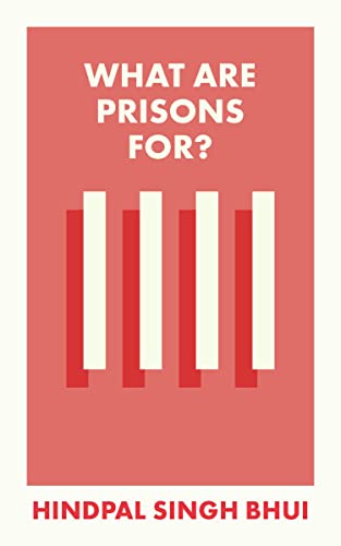 What Are Prisons For?: Themes and perspectives for policy and practice (What Is It For?)