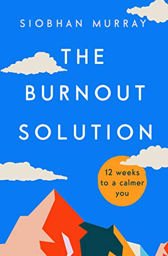 The Burnout Solution: 12 weeks to a calmer you von Gill Books