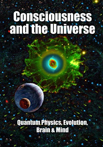 Consciousness and the Universe: Quantum Physics, Evolution, Brain & Mind von Science Publishers