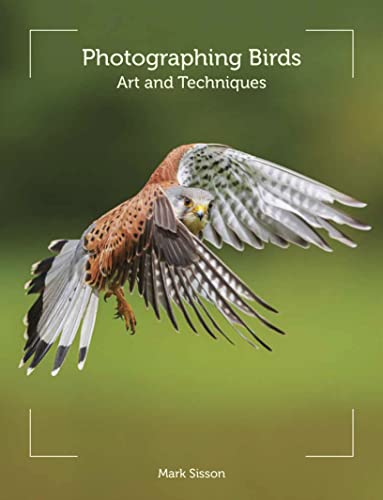 Photographing Birds: Art and Techniques