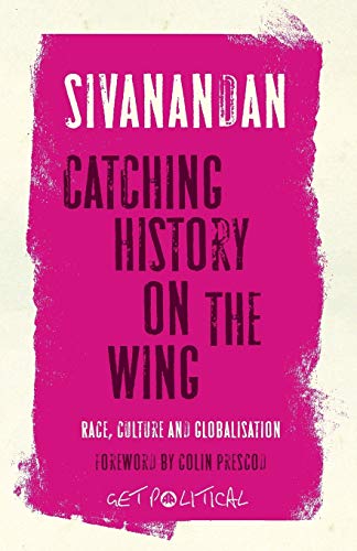 Catching History on the Wing: Race, Culture and Globalisation (Get Political) von Pluto Press (UK)