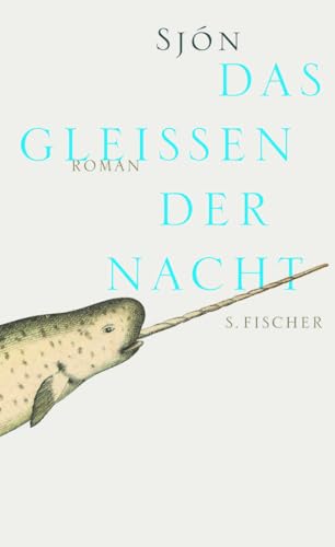 Das Gleißen der Nacht: Roman