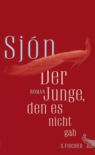 Der Junge, den es nicht gab: Roman von FISCHER, S.