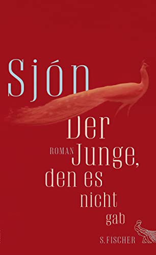 Der Junge, den es nicht gab: Roman