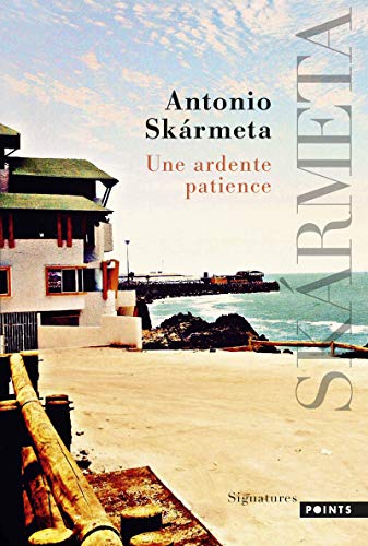 Une ardente patience von Points
