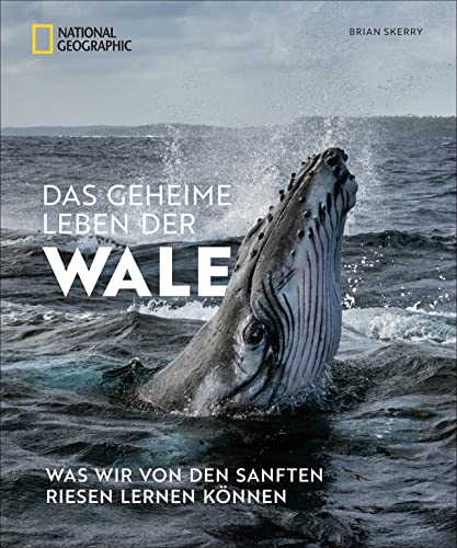 Bildband: Das geheime Leben der Wale. Was wir von den sanften Riesen lernen können. Mit Fotos von preisgekrönten National Geographic Fotografen.: Was wir von den sanften Riesen lernen können