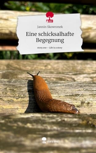 Eine schicksalhafte Begegnung. Life is a Story - story.one von story.one publishing