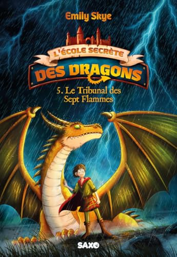 L'École secrète des dragons - Tome 05 Le Tribunal des Sept Flammes (broché) von SXO