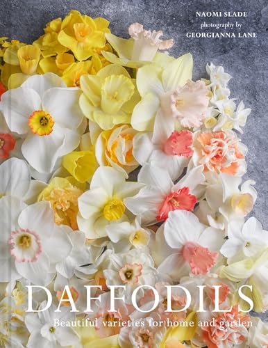 Daffodils: The ultimate guide for growing, flowering and cutting beautiful narcissi varieties for daffodils at home and in the garden von Pavilion Books