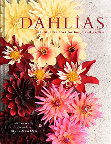 Dahlias: The ultimate flower guide for growing, flowering and cutting varieties for the home and gardening Dahlias: The ultimate flower guide for growing, flowering and cutting varieties for the home and gardening