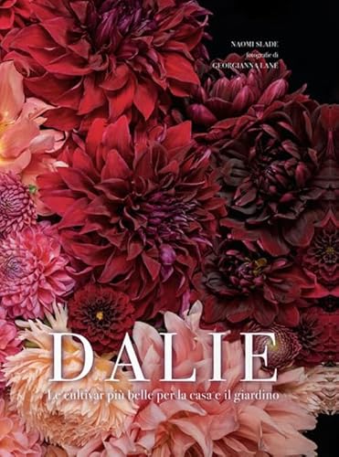 Dalie. Le cultivar più belle per la casa e il giardino