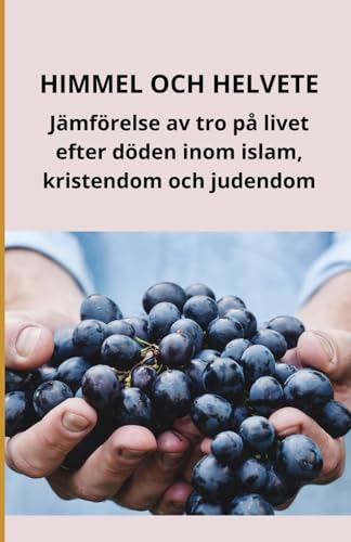 Himmel och helvete: Jämförelse av tro på livet efter döden inom islam, kristendom och judendom Himmel och helvete: Jämförelse av tro på livet efter döden inom islam, kristendom och judendom von Independently published