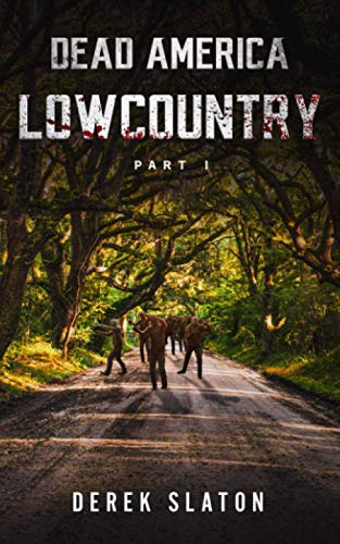 Dead America - Lowcountry von Independently published