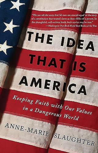 The Idea That is America: Keeping Faith With Our Values in a Dangerous World von Basic Books