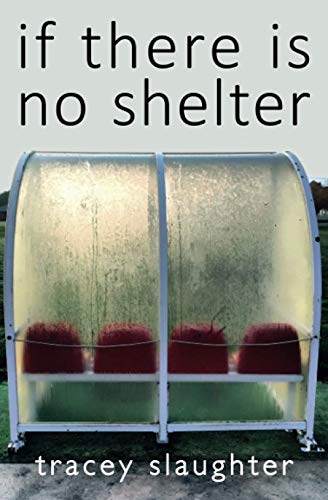 if there is no shelter (Novella-in-Flash, Band 15) von Ad Hoc Fiction