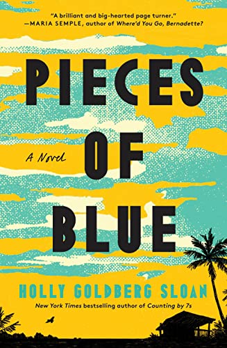Pieces of Blue von Flatiron Books