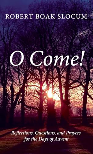 O Come!: Reflections, Questions, and Prayers for the Days of Advent von Resource Publications