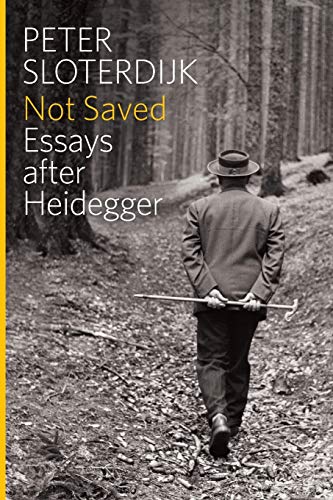 Not Saved: Essays After Heidegger